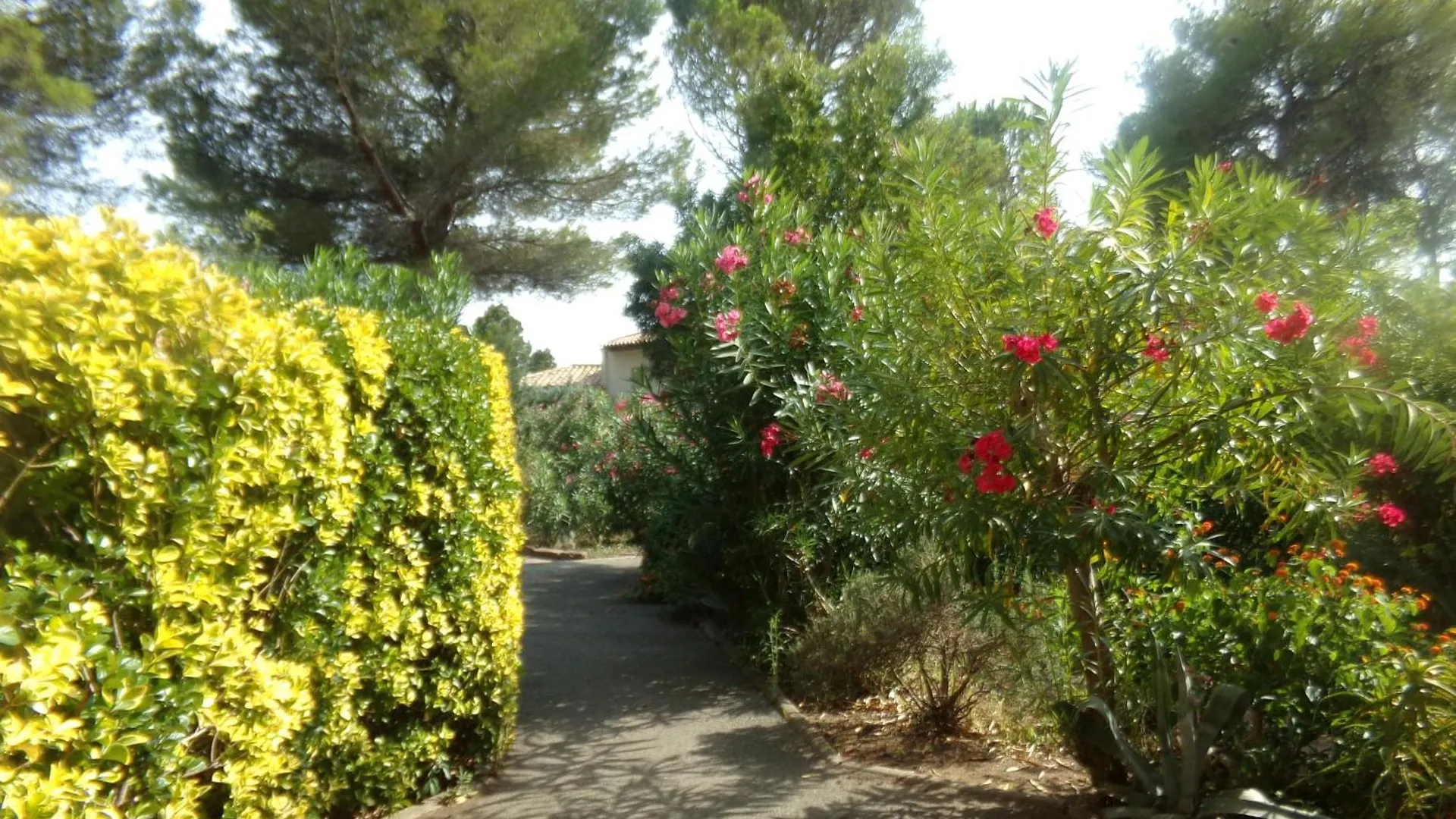 Residence Pinede Mer Soleil Saint-Raphaël