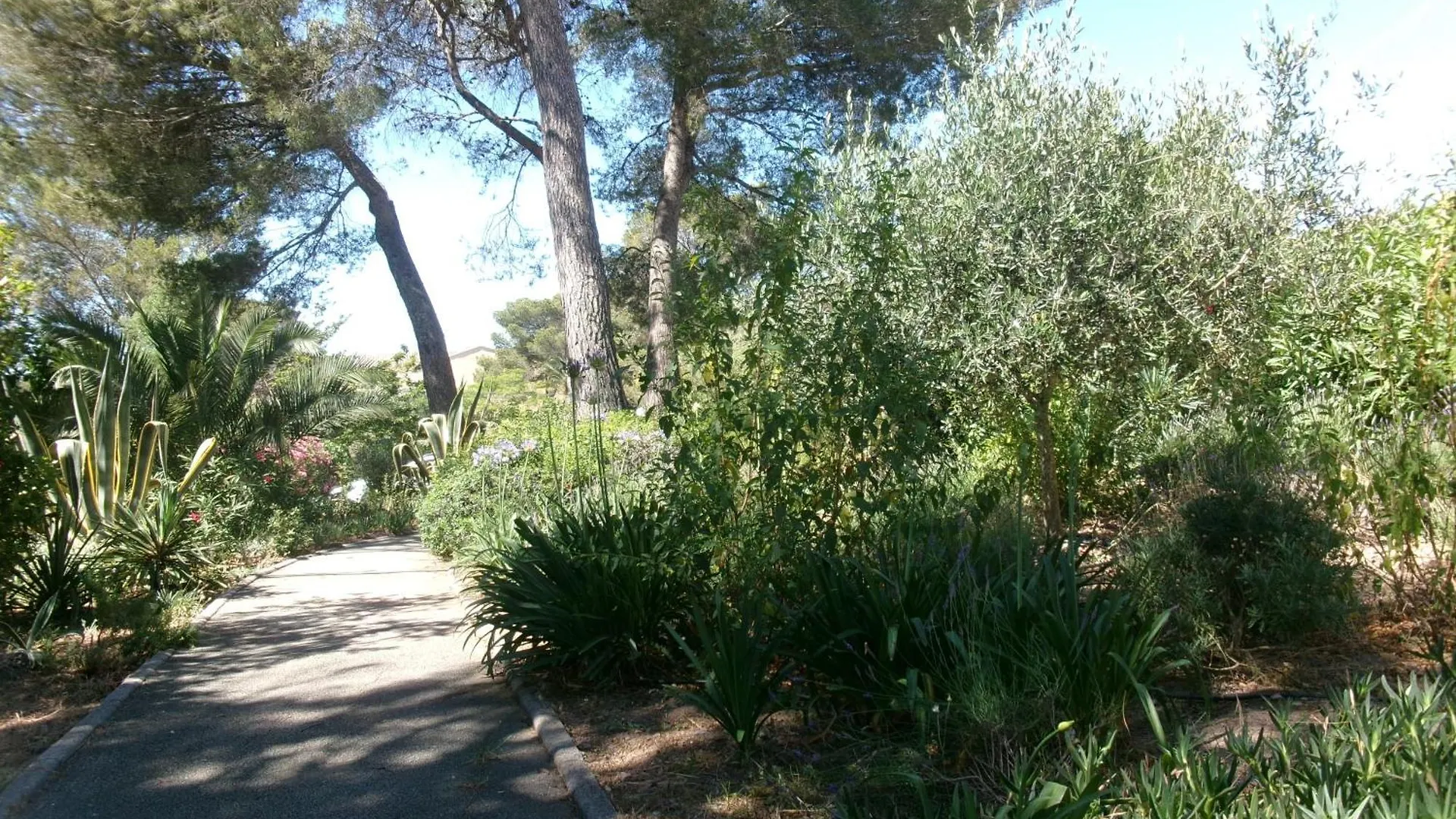 Residence Pinede Mer Soleil Saint-Raphaël 0*,  法国